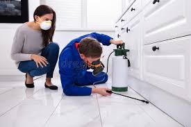 Best Residential Pest Control  in Altus, OK